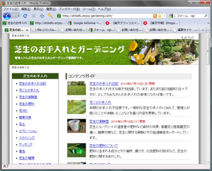 �Ő��̂������z�[���y�[�W�摜